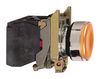 SCHNEIDER ELECTRIC XB4BW35G5