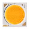 CREE LED CXA2520-0000-000N00Q430G
