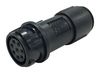BULGIN LIMITED PXP4011/06S/4550