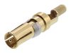 AMPHENOL COMMUNICATIONS SOLUTIONS DM537425001NCLF