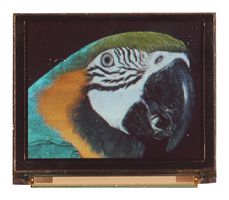 MIDAS DISPLAYS MDOG160128B1Y-RGBM Graphic OLED, 160 x 128 Pixels, RGB on Black, 3V, I2C, Parallel, SPI, 39.9mm x 48.5mm, -40 °C