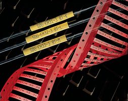 TE CONNECTIVITY - RAYCHEM RPS-10-2/2.0-4 Wire Marker, RPS Thin Wall, Heat Shrinkable Sleeve, PO (Polyolefin), Yellow, 12.7 mm