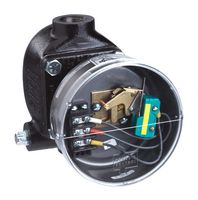 DWYER 123-7000-153 Water Level Control, Cast Iron Chamber, SPDT Snap Switch, Screw, 150 PSIG, 185 °C, 123 Series