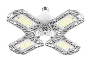 NEBO SPORTS NEB-ARE-0001