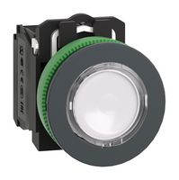 SCHNEIDER ELECTRIC XB5FW31M5. PB SW, SPST-NO/NC, 6A, 120V, WHT, PANEL