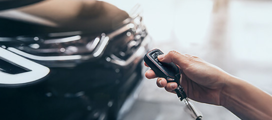 Body Electronics & Lighting